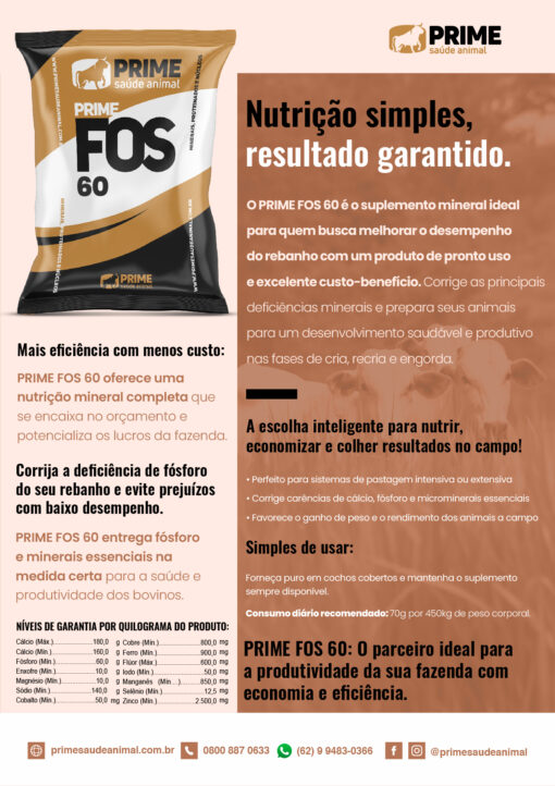 Prime Fos 60 - Image 3